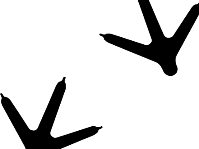 Turkey Flag Clipart Downloadable - Png Download (640x480), Png Download