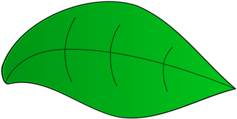 Green Leaf Line Angle Headgear Clipart (530x750), Png Download