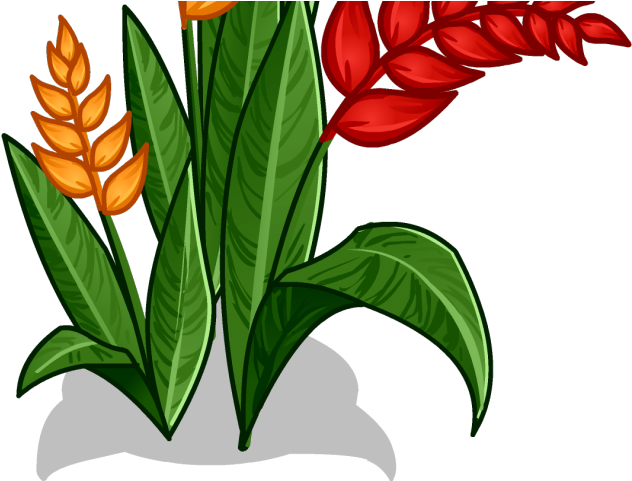 Red Flower Clipart Jungle Flower - Png Download (640x480), Png Download