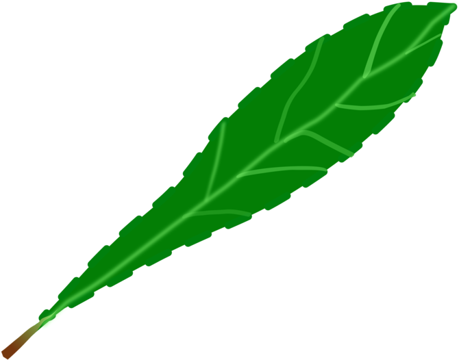 Drawing Leaf Computer Icons Green Watercolor Painting Clipart (750x750), Png Download