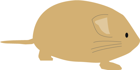 Free Clip Art - Png Download (640x640), Png Download