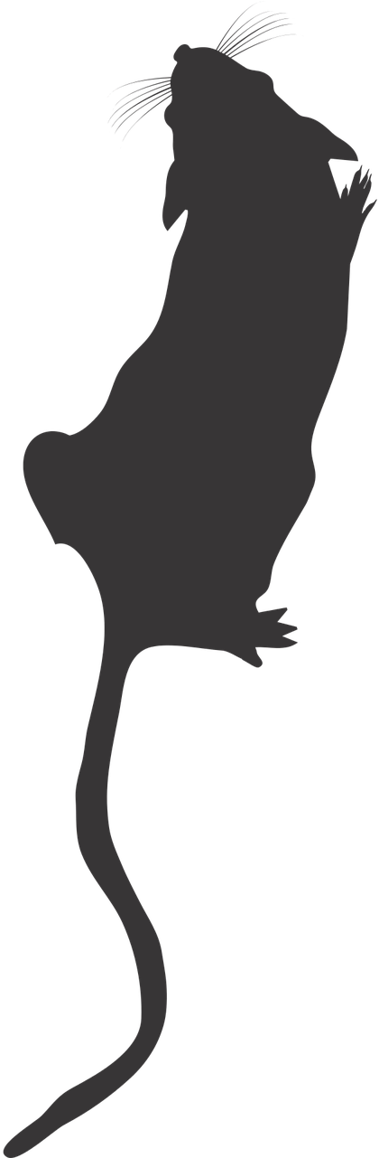 Lab Mouse Top View Mouse Silhouette Lab Mouse Icon Clipart (640x1280), Png Download