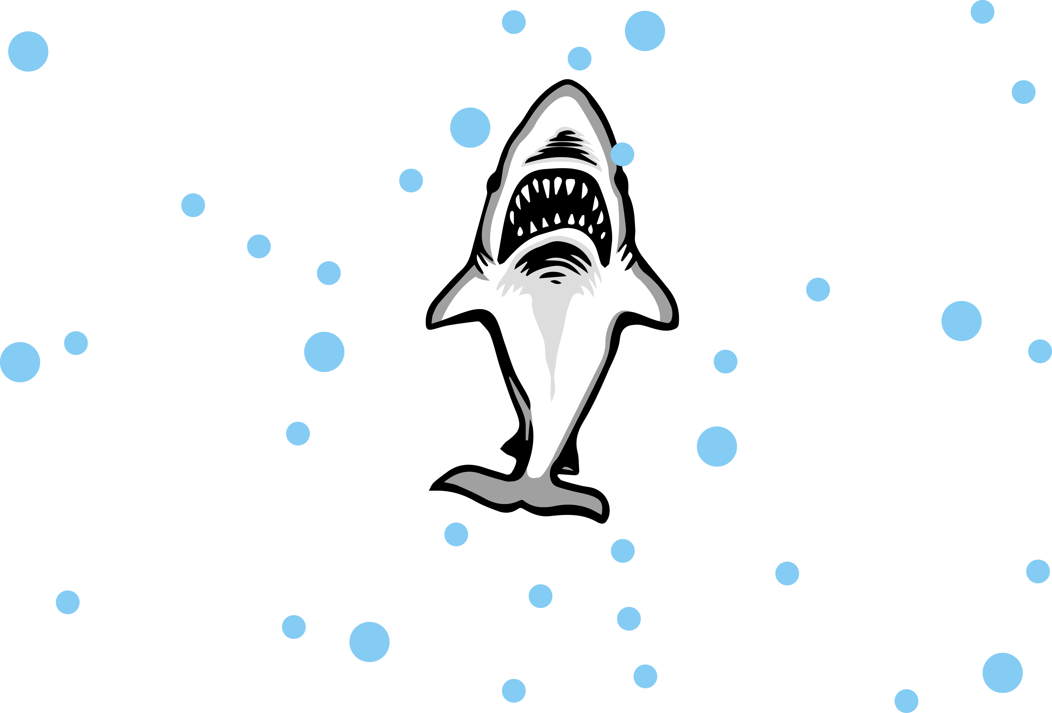 Great White T Shirt Clipart (3386x2293), Png Download