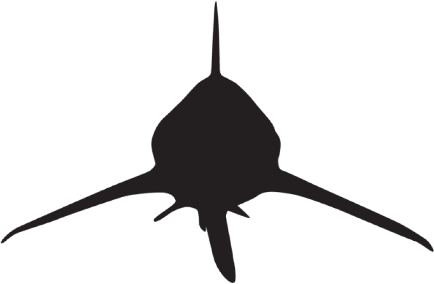 Free Png Shark Attack Silhouette Png Clipart (850x554), Png Download