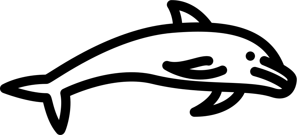 Dolphin Jumping Comments Clipart (981x446), Png Download