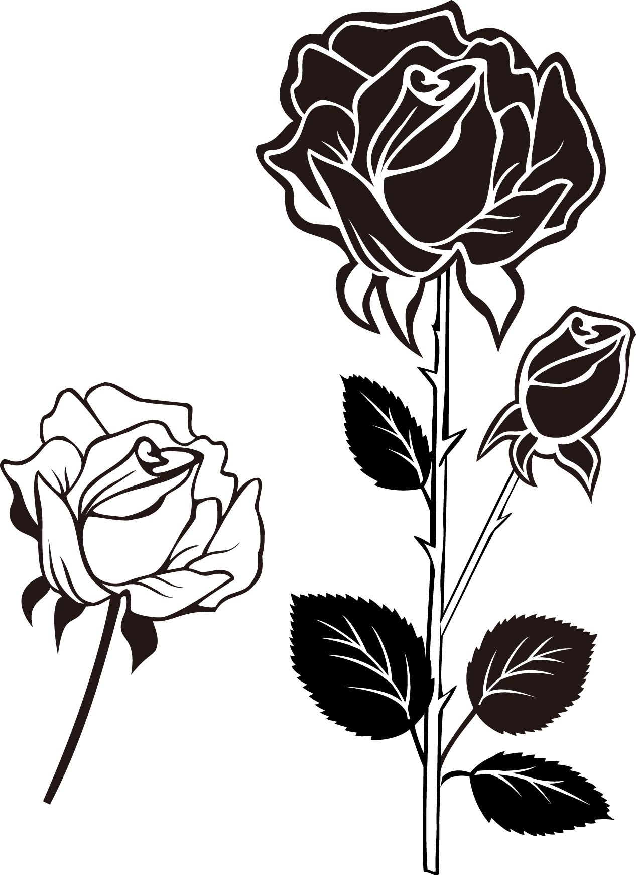 Beach Photography And Roses Transprent Clipart (1267x1741), Png Download