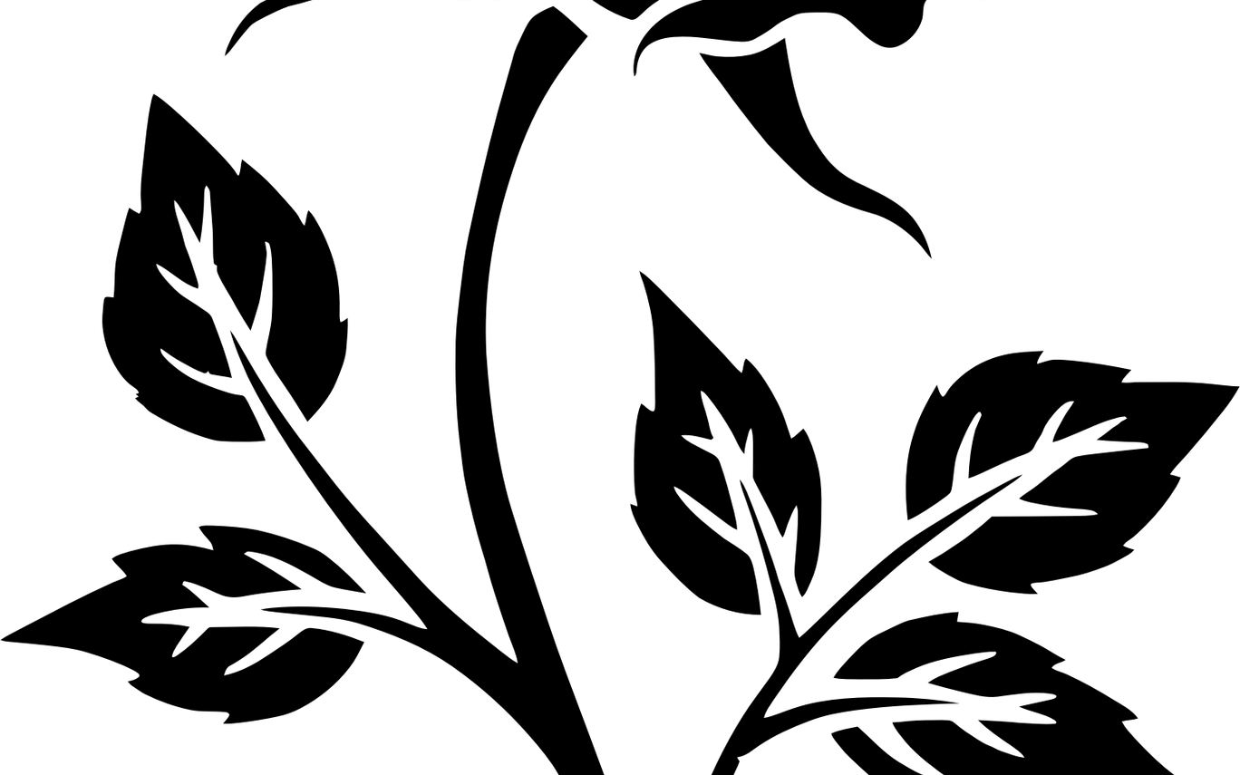 Clipart Rose Silhouette - Png Download (1368x855), Png Download