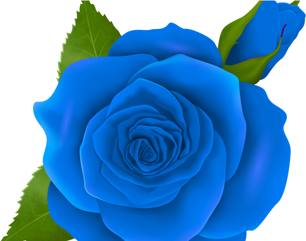 Rose Bush Clipart File - Png Download (640x480), Png Download