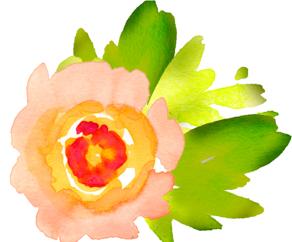 Orange Flower Clipart Individual Flower - Png Download (640x480), Png Download