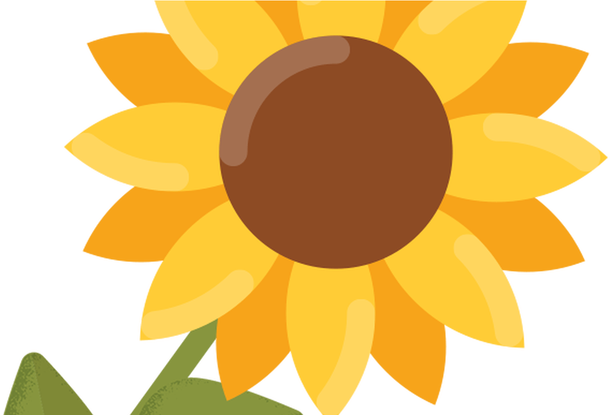 New 50 Free Sunflower Clipart Images - Png Download (1368x855), Png Download