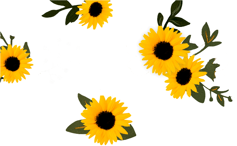 Sunflower Lounge Cafe Mosman Clipart (946x571), Png Download