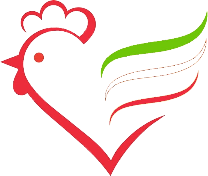 Chicken Iran Clipart (725x611), Png Download