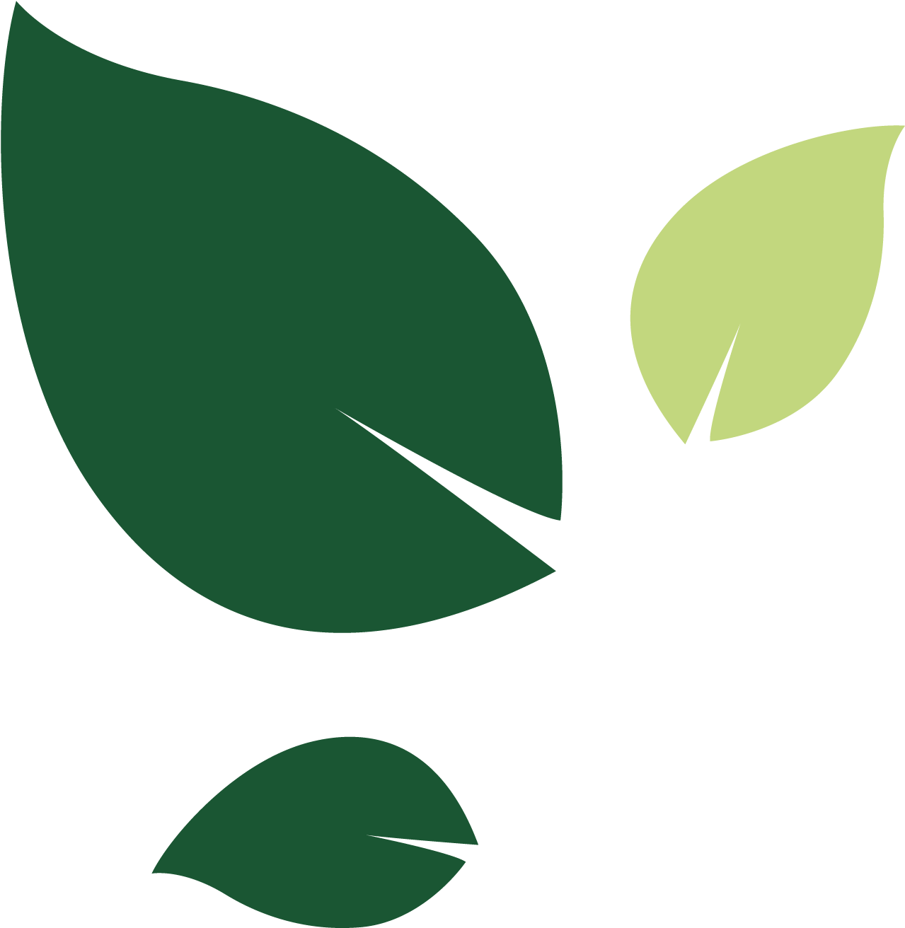 Bramley Care Leaves Left Clipart Full Size Clipart (2754247