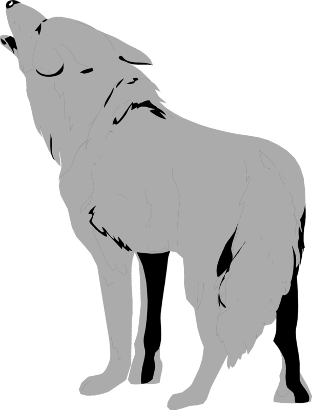 See Here Wolf Clipart Black And White Free Download - Png Download (609x800), Png Download