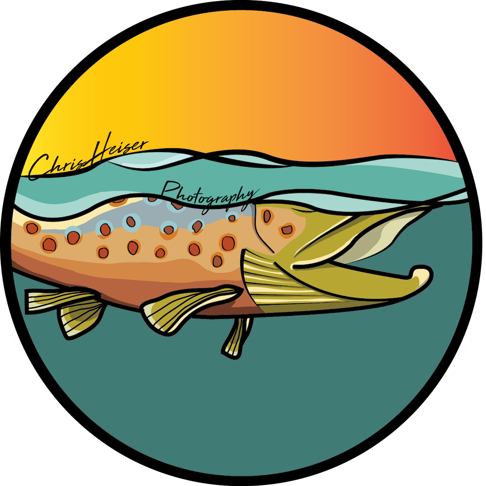 Rainbow Trout Clipart Png Download Full Size Clipart (2757379