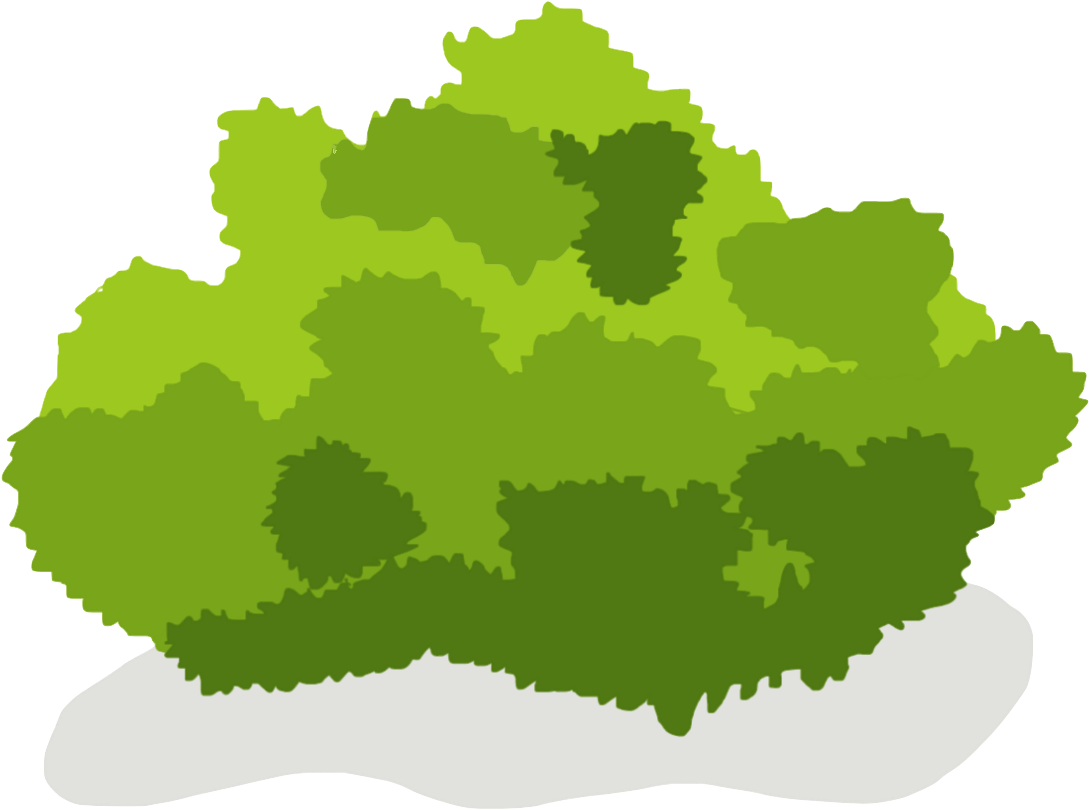 Bush Clipart (1249x1249), Png Download