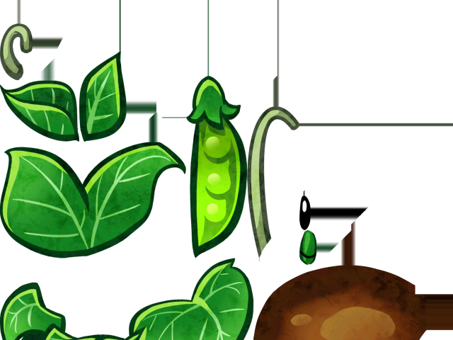 Pea Clipart Pid - Png Download (640x480), Png Download