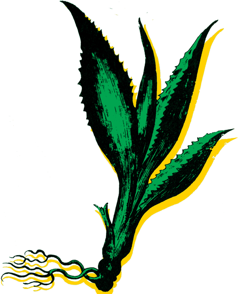 Read More About Services Offered “ Clipart (600x600), Png Download