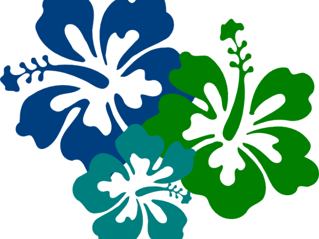 Hibiscus Clipart Teal - Png Download (640x480), Png Download