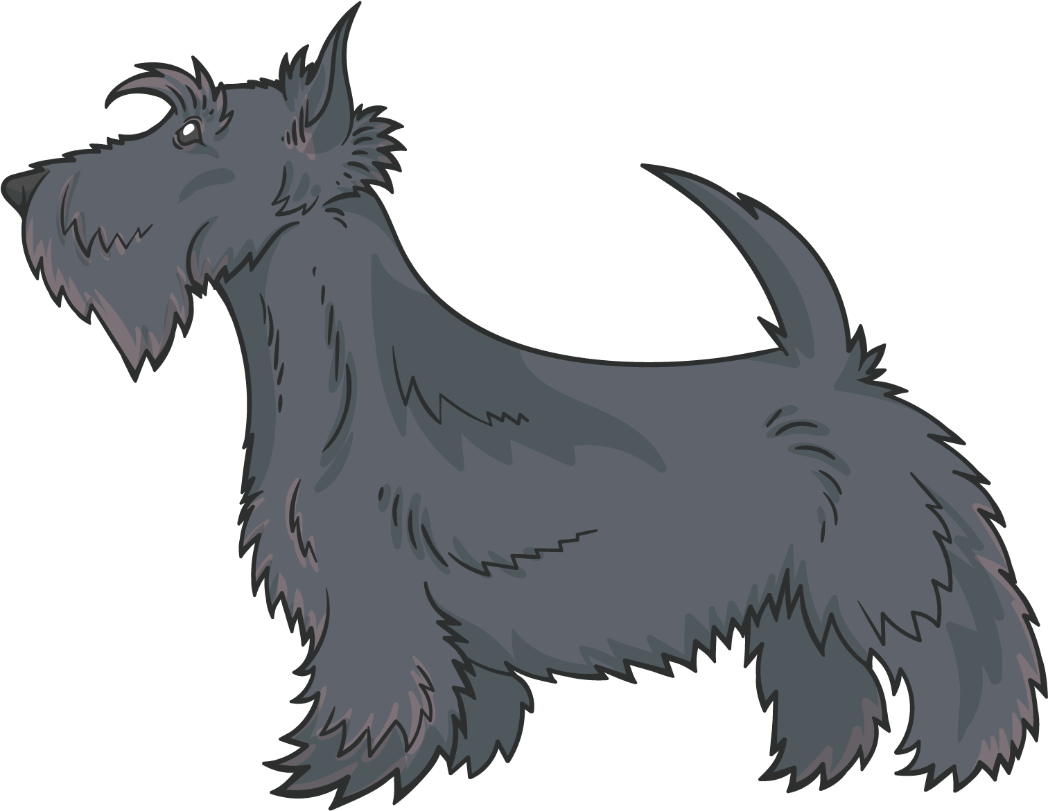 Scottish Terrier Pug Clipart (1600x1600), Png Download