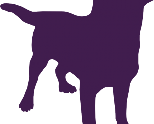Colors Clipart Dog - Png Download (640x480), Png Download