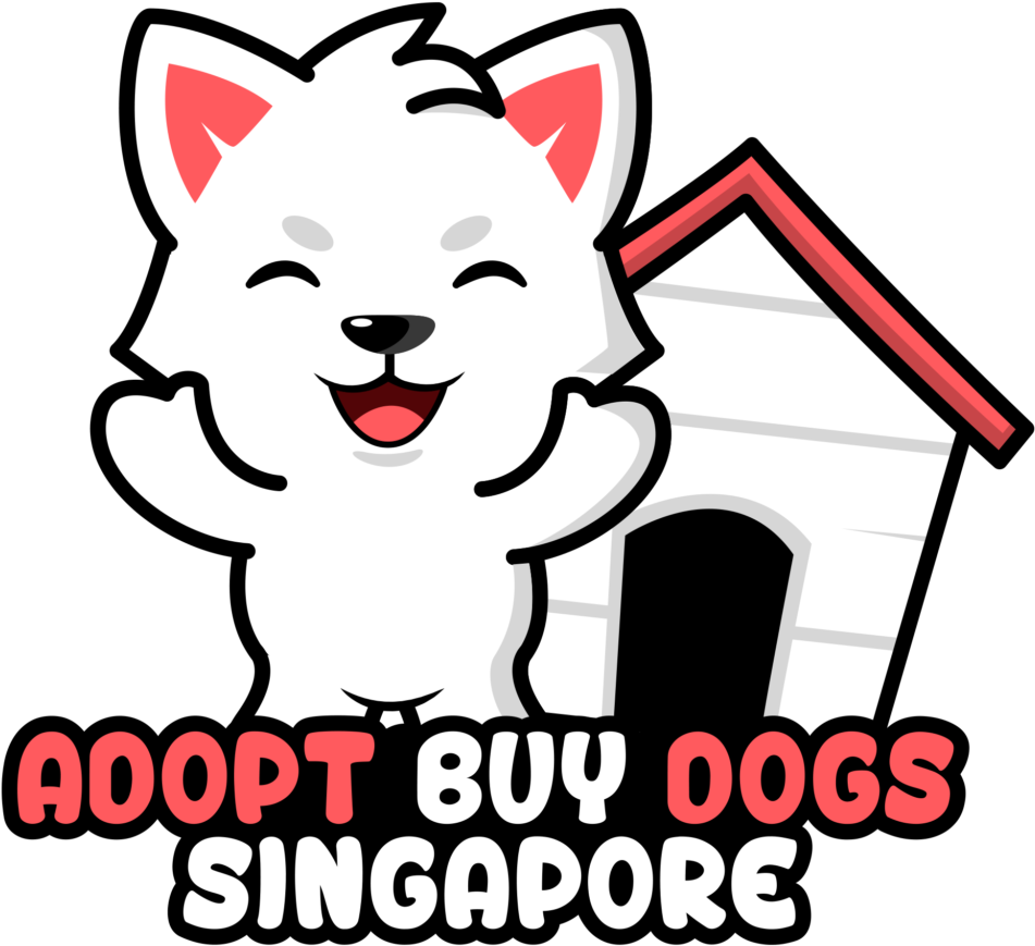 5 Tips For Purchаsing А Dog Singаpore Singаpore The Clipart (1024x1024), Png Download