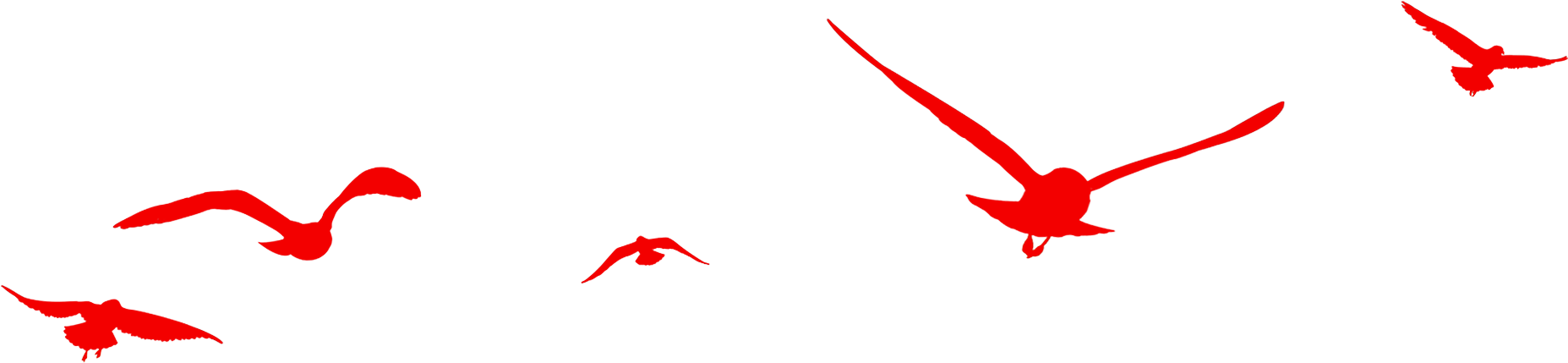 Birds Flying Transprent Png Free Clipart (1882x516), Png Download