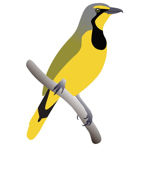 Wits Bird Club Logo Wits Bird Club Retina Logo Clipart (600x657), Png Download