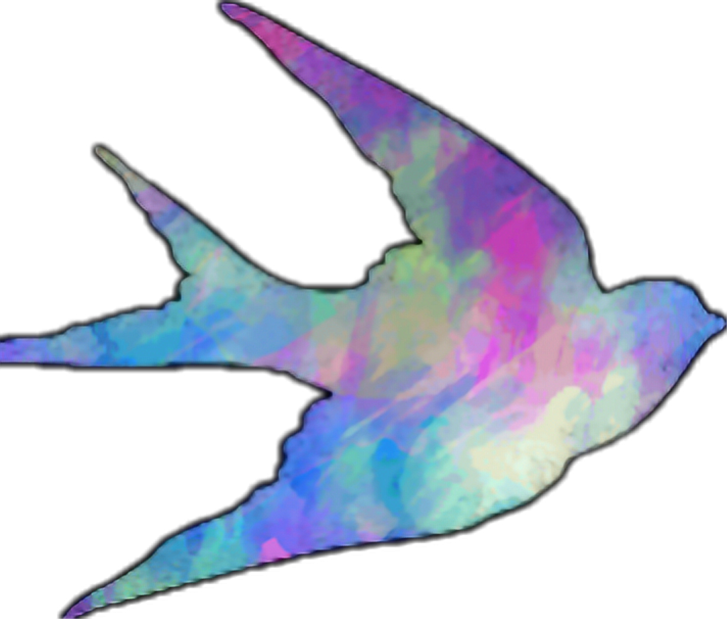 2k17 2017 Cute Bird Freetoedit Retro Vintage Nature Clipart (1024x872), Png Download