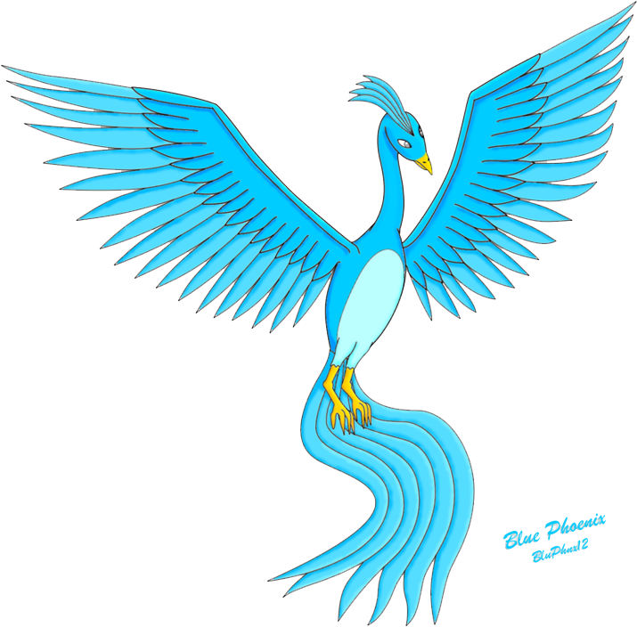 Phoenix Bird Pictures Clipart (900x783), Png Download