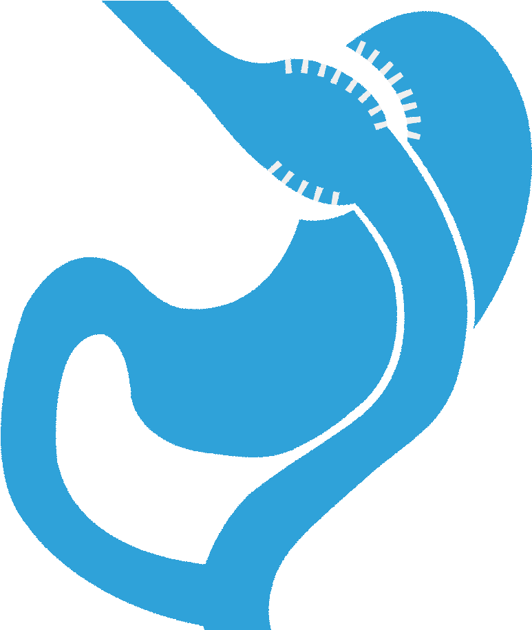 Thank You Clipart (860x915), Png Download