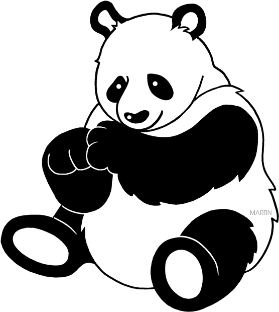 Panda Clipart (563x648), Png Download