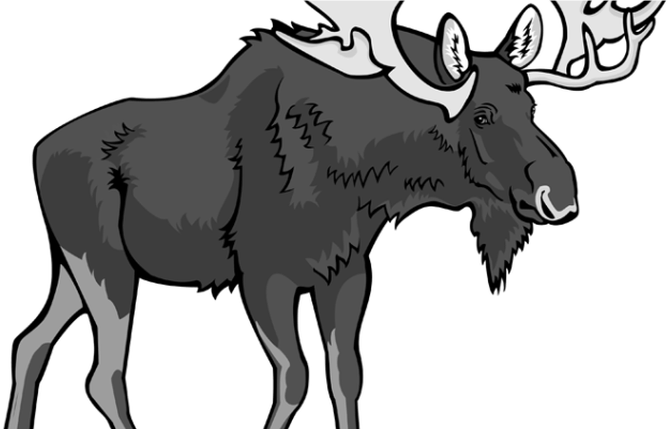 Moose Page 2 Of 7 Clipartblackcom - Png Download (1368x855), Png Download