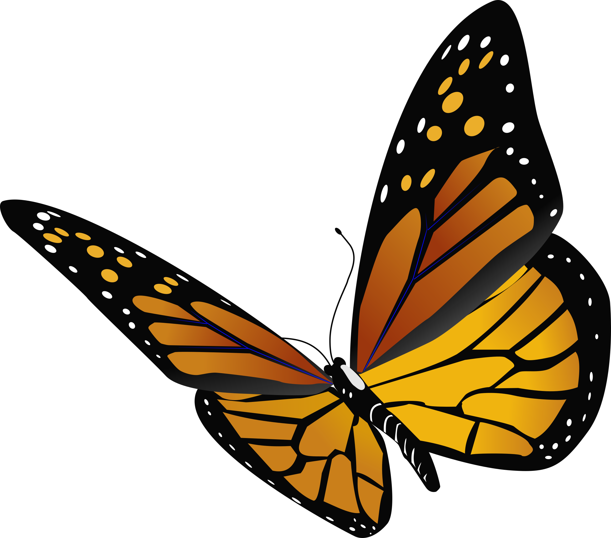 Butterfly Clipart (1000x881), Png Download