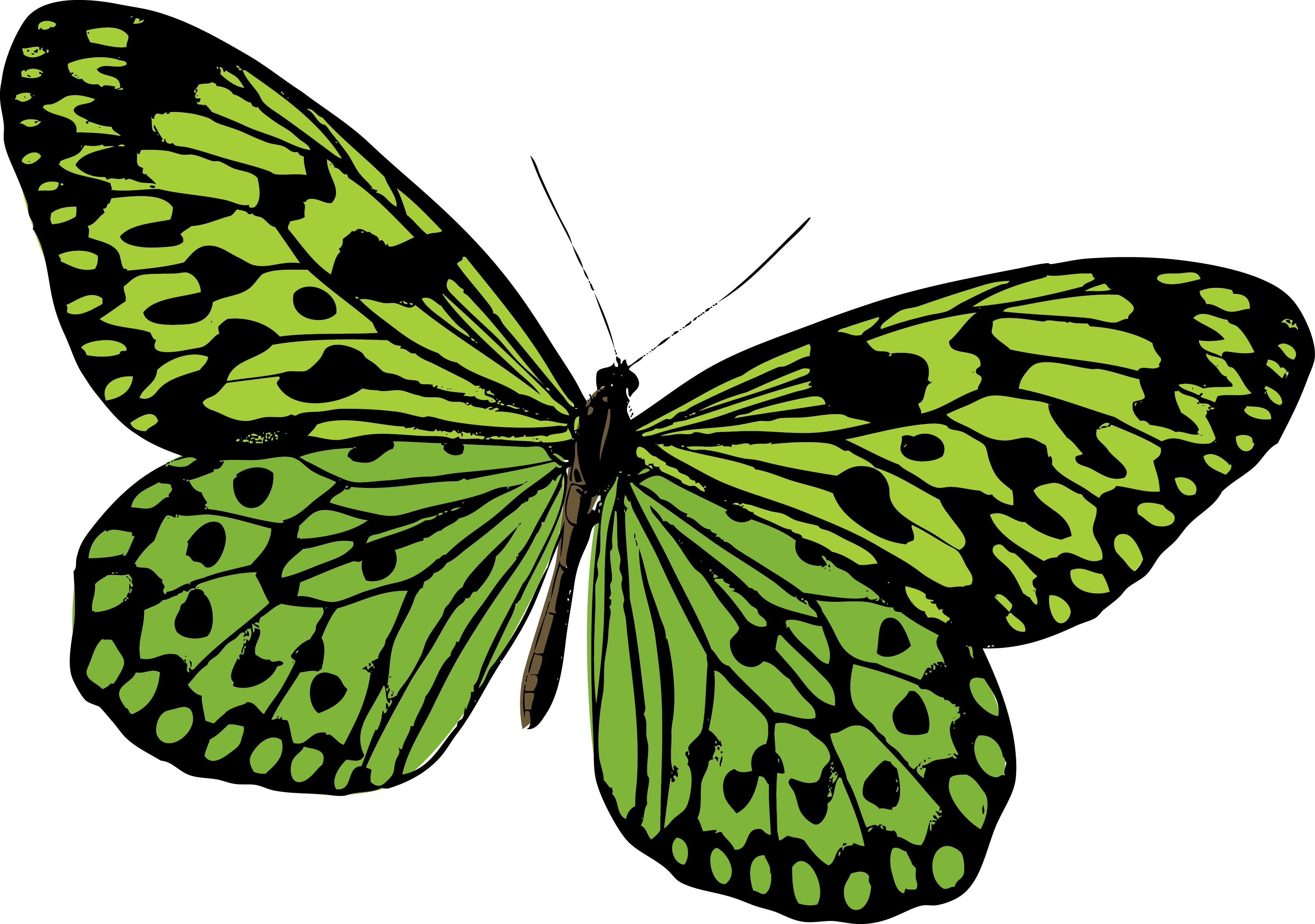 Monarch Butterfly Pieridae Moth Clipart (3475x2443), Png Download