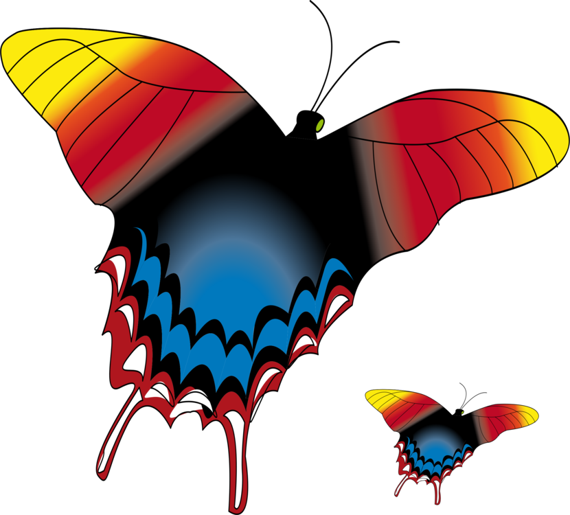 Brush-footed Butterflies Butterfly Computer Icons Drawing Clipart (830x750), Png Download