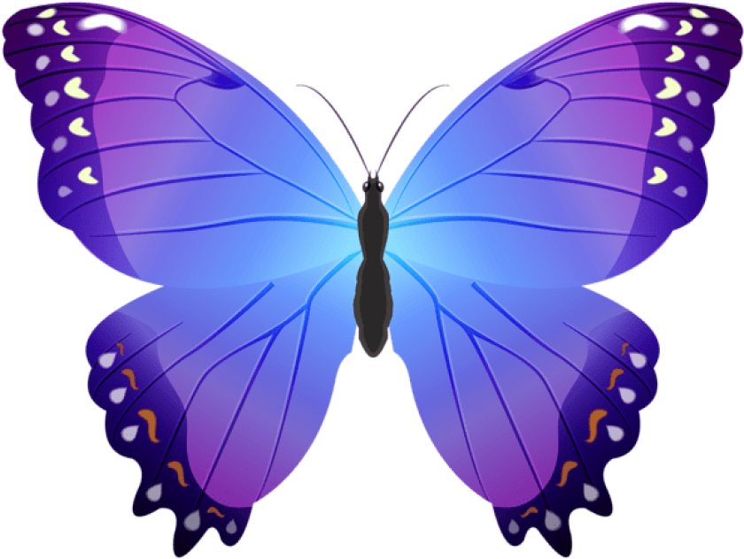 Download Butterfly Purple Clipart Png Photo Transparent Png (850x634), Png Download