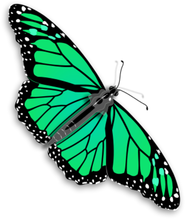 Clipart Of Butterfly, Butterfly The And Butterfly A - Png Download (600x710), Png Download