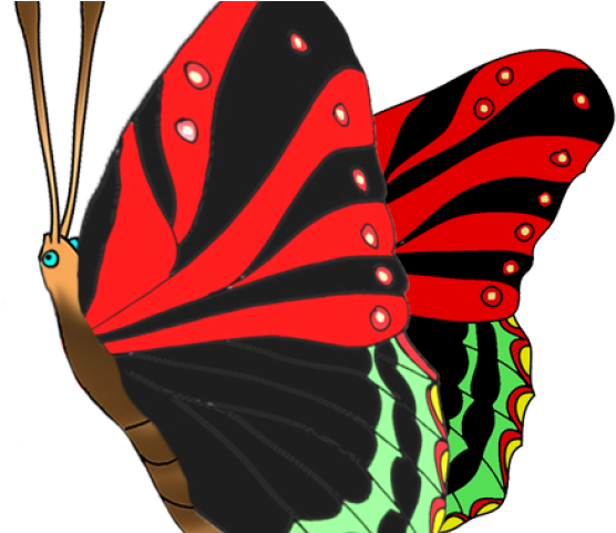 Butterfly Clipart Red - Png Download (640x480), Png Download