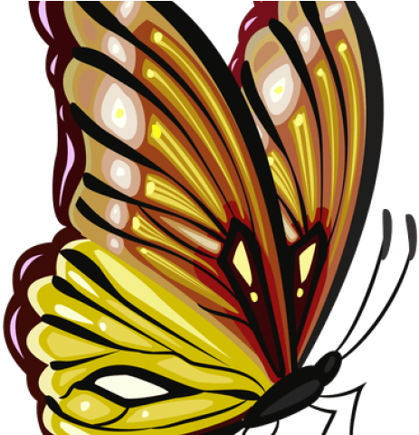 Monarch Butterfly Clipart Yellow Butterfly - Png Download (640x480), Png Download