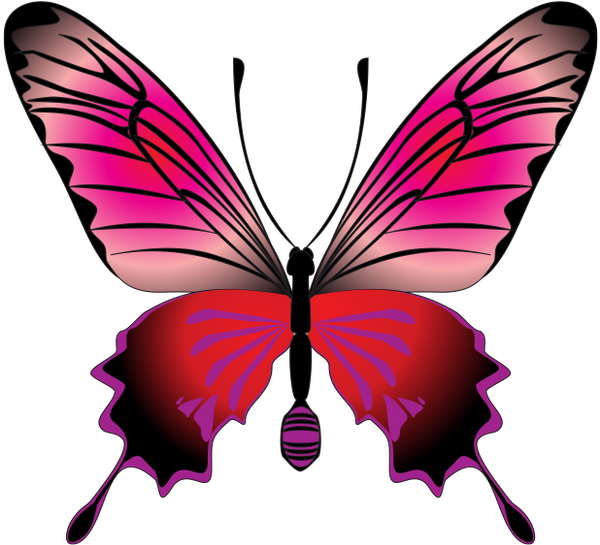 Бабочка, Насекомое, Butterfly Clipart (600x545), Png Download