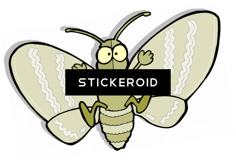 Moth Hd Butterfly Insects Clipart (806x565), Png Download