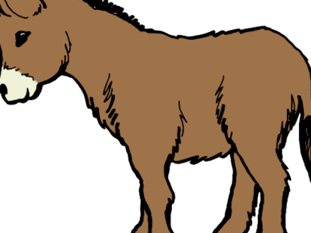 Brown Clipart Donkey - Png Download (640x480), Png Download