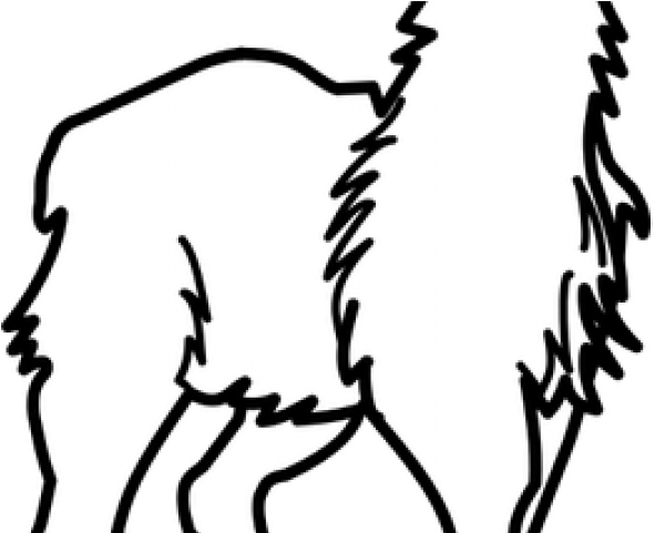 Drawn Llama Pajama Clipart (640x480), Png Download