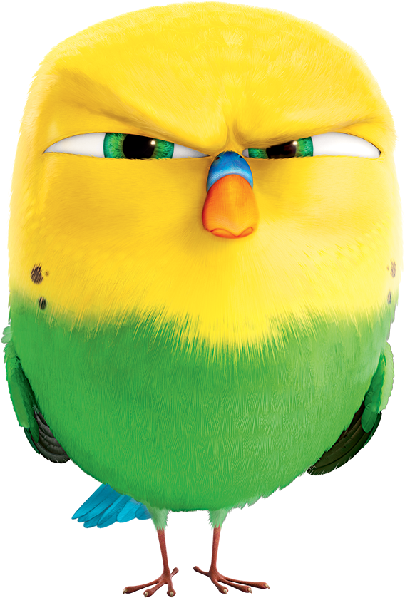 Image Pets Png The Parody Wiki Fandom Clipart (662x941), Png Download