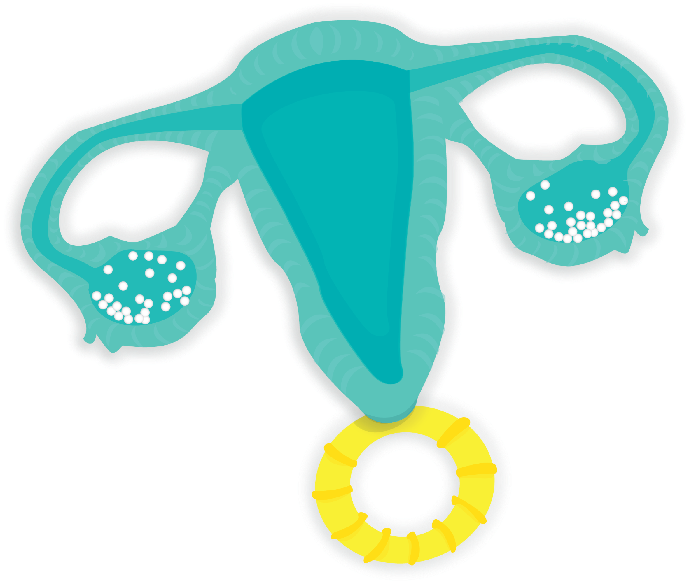 Uterus Rattle Clipart (2799x2700), Png Download