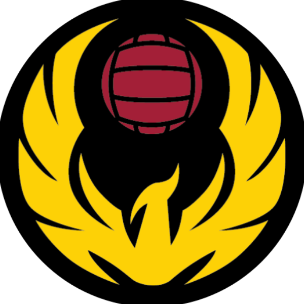 Volleyball Clip Half - Png Download (600x600), Png Download