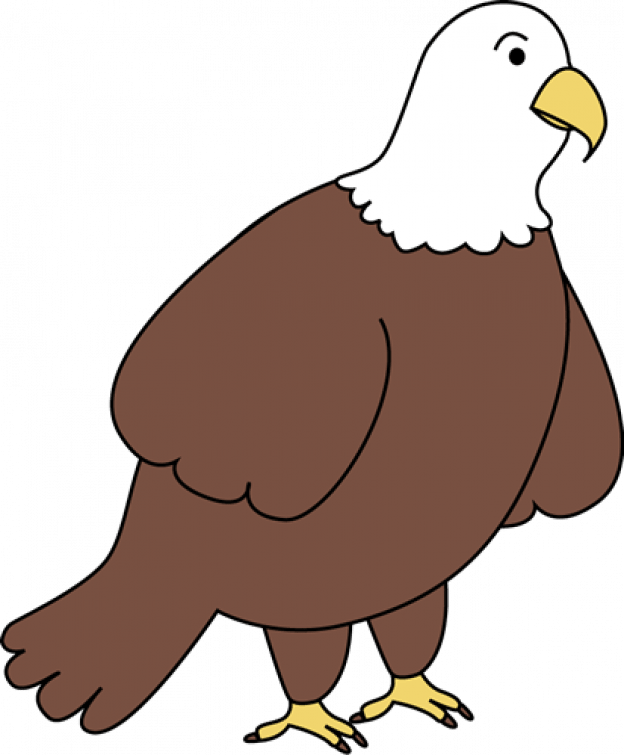 Bald Eagle Clipart (624x755), Png Download
