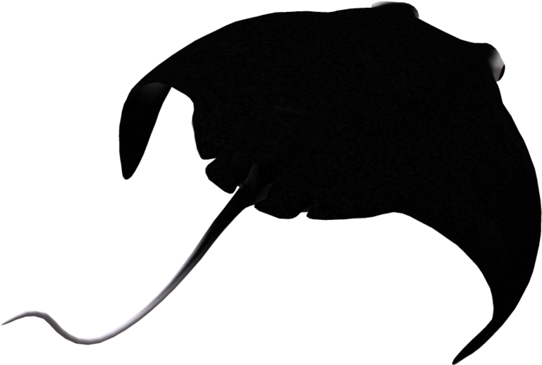 Manta Ray Silhouette At Getdrawings Clipart (1024x639), Png Download
