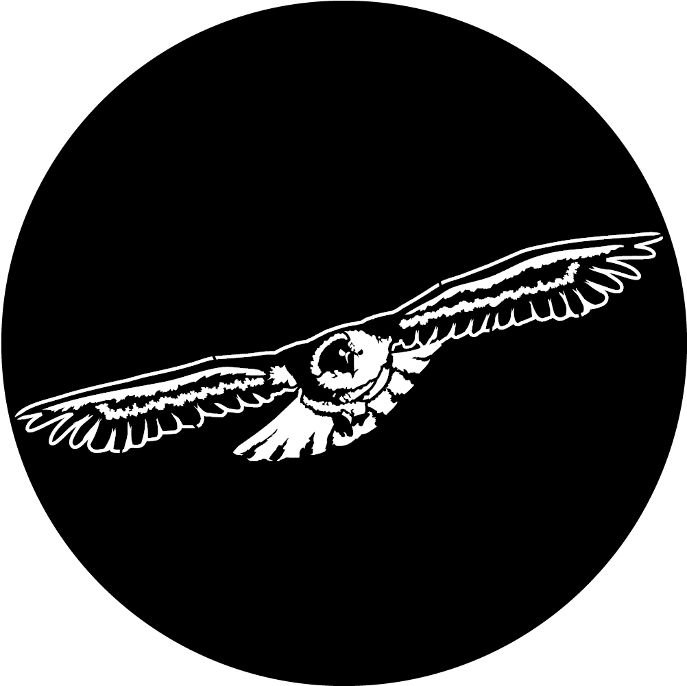 Apollo Design 1136 Soaring Eagle Steel Pattern Clipart (1200x1200), Png Download